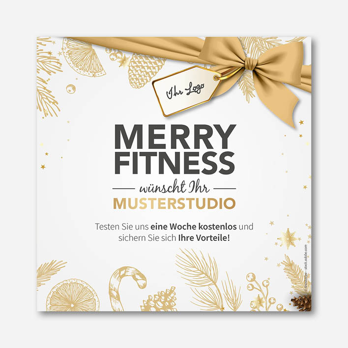 Produktbilder-Merry-Fitness-OnlineMarketing3