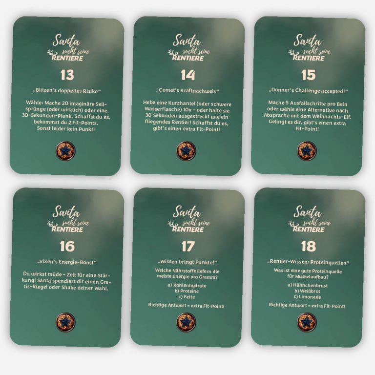 Santa Sucht_Karten-neu3