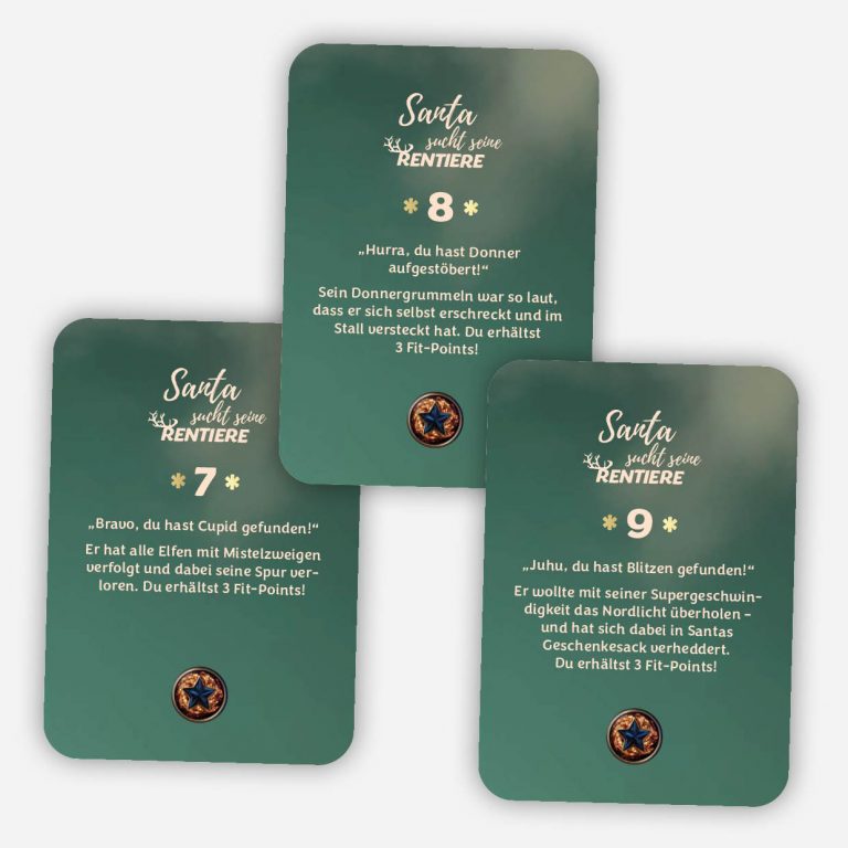 Santa Sucht_Karten-neu53